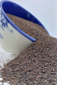 تصویر تخم بارهنگ 