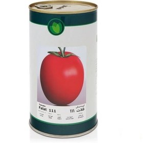 تصویر بذر گوجه فرنگی 111 فلات قوطی 500 گرمی 