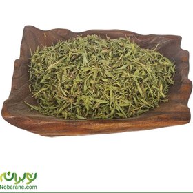 تصویر آویشن دنایی 