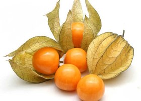 تصویر میوه کاکنج آنتی اکسیدان