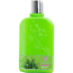 تصویر شامپو سر نعناع و آلوئه‌ورا ا Mint and aloe vera shampoo Mint and aloe vera shampoo