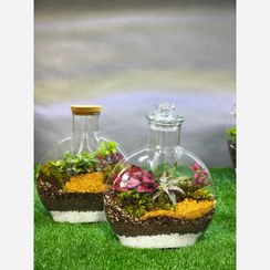 تصویر تراریوم مدل آنتالیا سایز متوسط 