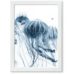 تصویر تابلو طرح عروس دریایی 
