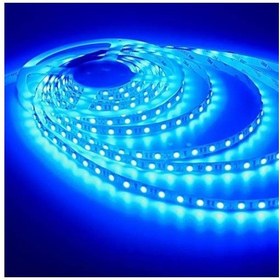 تصویر LED نواری آبی درشت 5050 60Pcs رول 5متری 