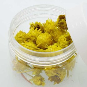 تصویر گل خشک فندقی زرد 