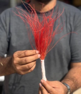 تصویر فروشگاه گلستونک