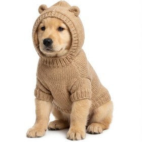 تصویر لباس سگ و گربه هودی تدی کشباف 