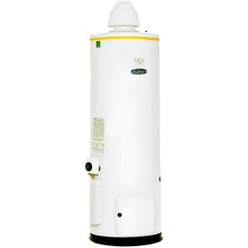 تصویر آبگرمکن گازی 165 لیتر (55 گالن) سروش مدل 220 SOROUSH gas Water Heater 165 lit model 220