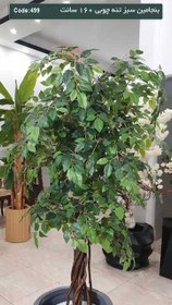 تصویر درختچه مصنوعی بنجامین 160سانت برگ سبز 