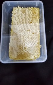 تصویر عسل موم دار بهاره جنگلی کاملا خاص و ارگانیک - 2/5 کیلویی 