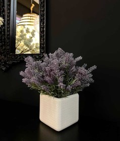 تصویر گل اسطوخودوس 