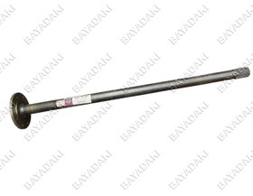 تصویر پلوس خاور قدیم 