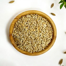 تصویر تخم کتان پرنده 