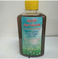 تصویر شامپو گیاهی همیشه بهار (12 گیاه) موثر و عالی - 250cc 