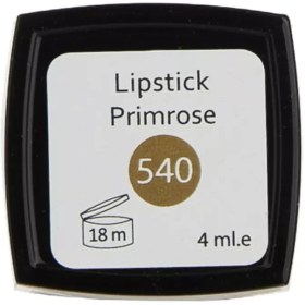 تصویر رژ لب جامد این لی مدل Primrose شماره 540 ا INLAY Primrose Lipstick 540 INLAY Primrose Lipstick 540