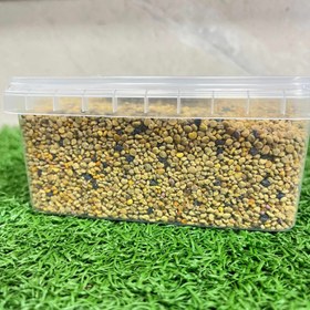 تصویر گرده گل کوهستان pollen