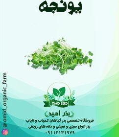 تصویر بذر یونجه 