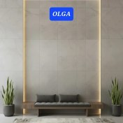 تصویر سرامیک دیوار الگاOLGA-کد 305-درجه1-6طرح متنوع 