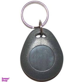 تصویر تگ RFID مدل H1110 