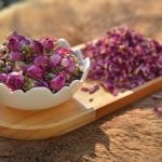 تصویر برگ گل محمدی 