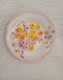 تصویر گل پنج پر 