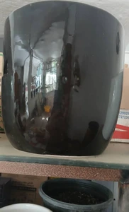 تصویر فروشگاه گل‌ ناز یخی