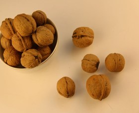 تصویر گردو با پوست معمولی 