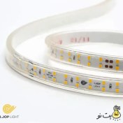 تصویر ریسه شلنگی SMD لوپ لایت تراکم 180 با تراشه 2835 Strip Light Loop Light LA-P180