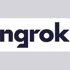 تصویر NGROK چیست؟ 