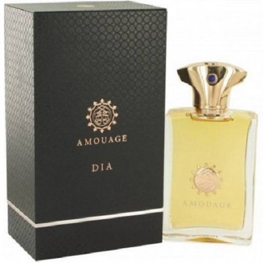 AMOUAGE Dia pour Homme 100