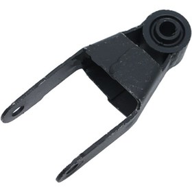 تصویر دو شاخ رام پژو 405 