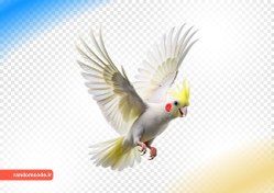 تصویر طرح سه بعدی طوطی عروس هلندی در حال پرواز PNG 