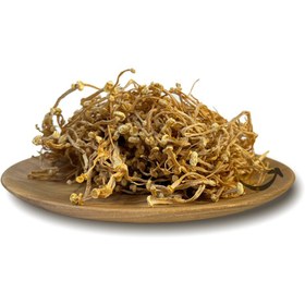 تصویر قارچ انوکی 