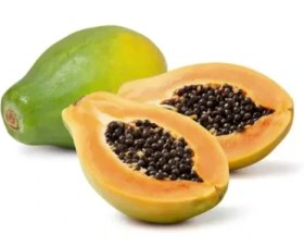 تصویر نهال پاپایا 