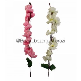 تصویر گل شاخه ای سیب 