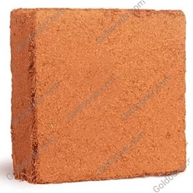 تصویر کوکوپیت سریلانکا Low EC 