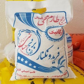 تصویر برنج طارم محلی ارگانیک فریدونکنار (اصیل) امساله 5 کیلویی ارسال رایگان 