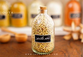 تصویر تخم گشنیز 