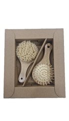 تصویر شانه و برس چوبی 