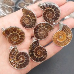 تصویر آویز فسیل آمونیت کد12935 Ammonite fossil pendant code 12935