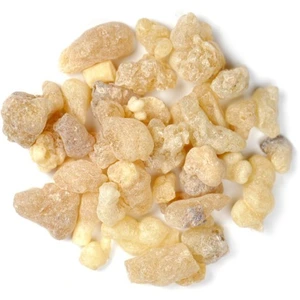 تصویر فروشگاه گون استور