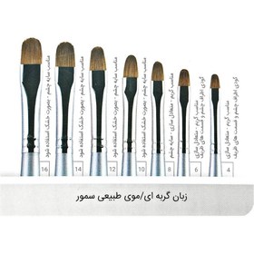 تصویر قلم کاشت ناخن زبان گربه ای موی طبیعی سایز 8 گراف Graph Graph