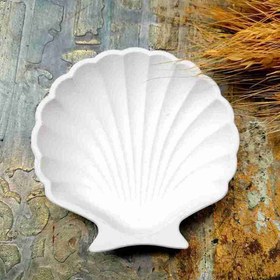 تصویر حوضچه صدف کفی 