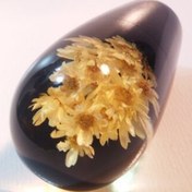 تصویر سردنده گل سفید 