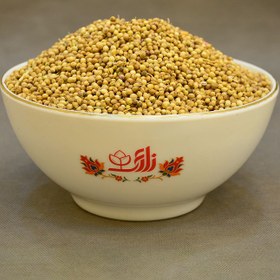 تصویر تخم گشنیز 