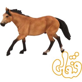 تصویر اسب آهویی محلی Quarter Horse Buckskin 387121 