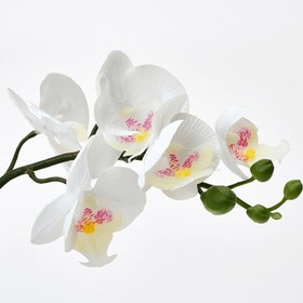 تصویر گل ارکیده ایکیا SMYCKA IKEA artificial flower, pink, 60 cm, orchid, in/outdoor