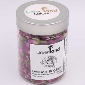 تصویر غنچه گل محمدی گرین لند 