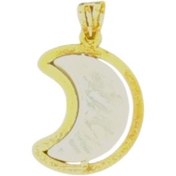 تصویر پلاک گردنبند طلا 18 عیار زنانه طرح ماه مدل PSG33 