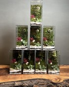 تصویر گیفت شرکتی ۸ عدد موساریوم مینی رد 